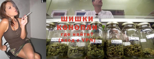 альфа пвп Медногорск