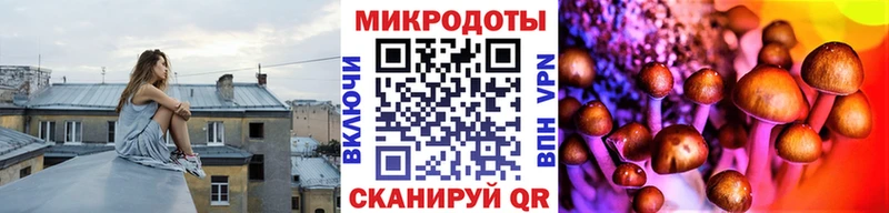 ОМГ ОМГ ССЫЛКА Красково Псилоцибиновые грибы мицелий